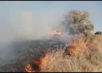 Globos incendiarios de Gaza provocan dos nuevos incendios en el sur de Israel