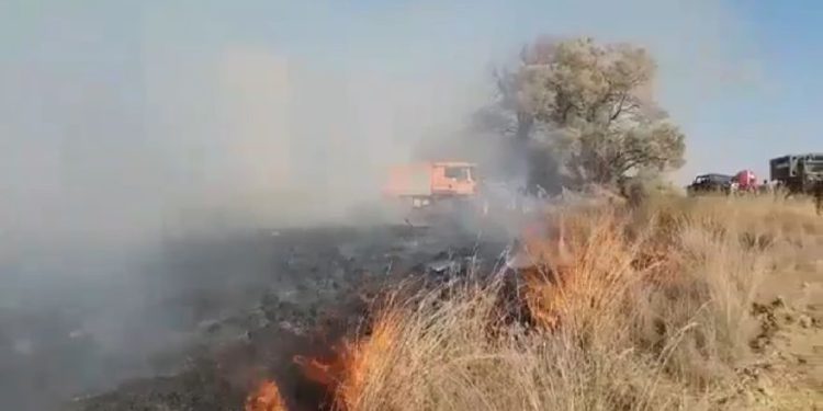 Globos incendiarios de Gaza provocan dos nuevos incendios en el sur de Israel