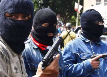 “Fuerzas Populares de Venezuela” son entrenadas por terroristas palestinos