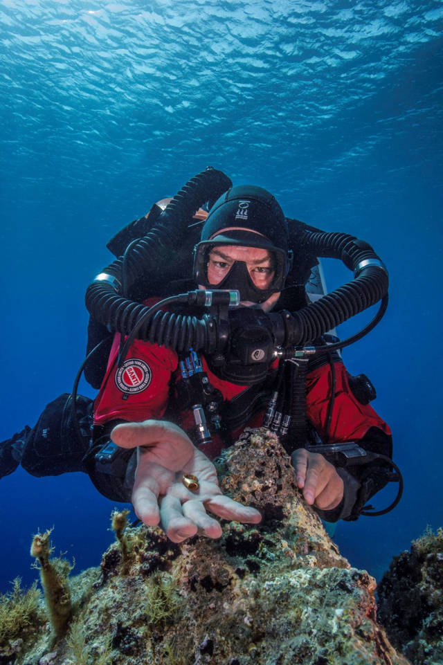 Foley levantando un anillo de oro encontrado en el fondo del mar Brett Seymour / EUA / ARGO