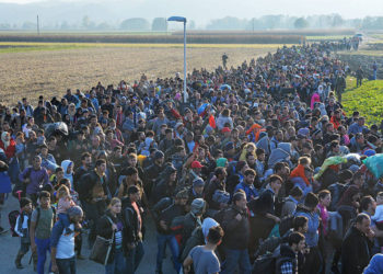 Estados miembros de la ONU: la migración es un derecho humano