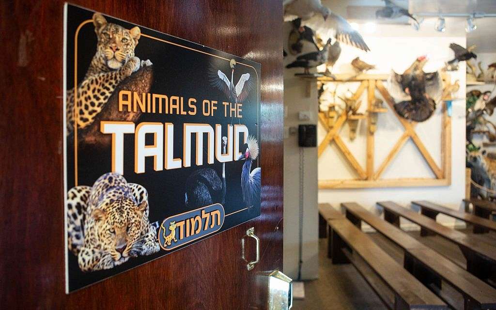 Un letrero que promociona 'Animales del Talmud' en el Museo de Animales Torah en la ciudad de Nueva York. (Miqueas B. Rubin / Times of Israel)