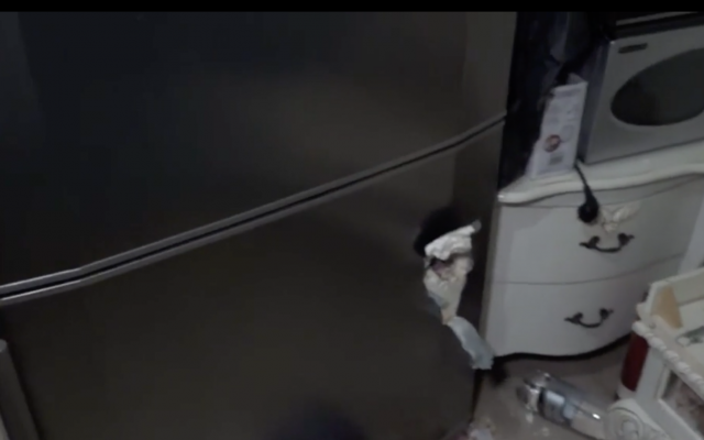 El reportero de Hadashot TV Moshe Nussbaum muestra que una pieza de metralla de un cohete de Hamás entró por una nevera en una casa en Netivot, 12 de noviembre de 2018 (noticias de Hadashot TV)