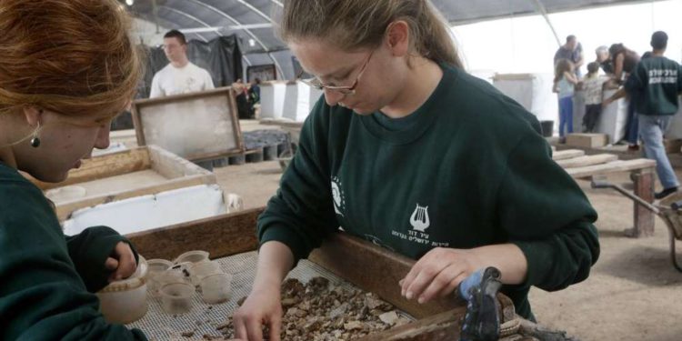 Voluntarios y empleados escogen los hallazgos en el Proyecto de Tamizado del Monte del Templo en Emek Tzurim, ubicado en el Monte de los Olivos, cerca de la Ciudad Vieja de Jerusalén el 10 de marzo de 2014. (Miriam Alster / Flash 90)