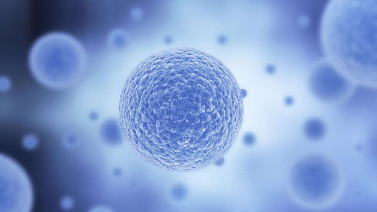 Científicos israelíes producen implantes de tejido personalizados, hechos con células del propio paciente