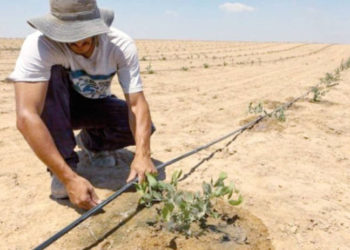 Israel es quien “riega” el planeta de tecnología