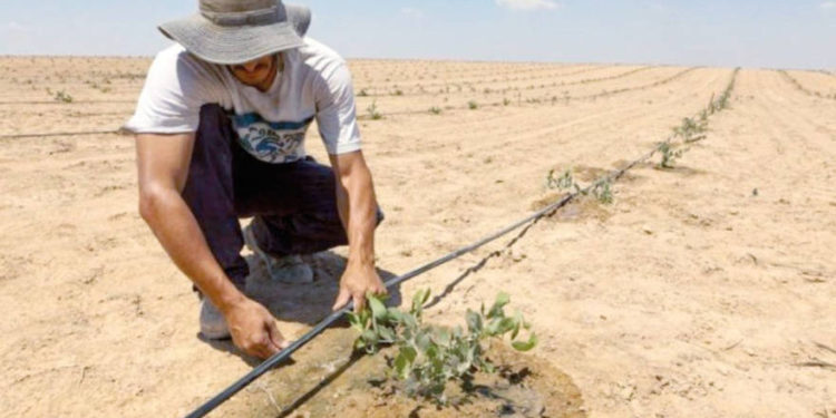 Israel es quien “riega” el planeta de tecnología