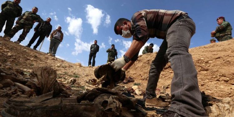 En esta foto de archivo tomada el 3 de febrero de 2015, los yazidis buscan familiares desaparecidos en los restos de personas asesinadas por jihadistas del Estado Islámico cerca de la aldea iraquí de Sinuni. (Safin Hamed / AFP)