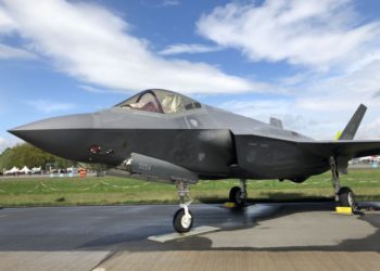 Un caza F-35 fue puesto a tierra después de colisionar con un ave silvestre