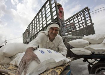 Un hombre palestino carga bolsas de harina en un carro de burros fuera del centro de distribución del Programa Mundial de Alimentos de las Naciones Unidas en el campo de refugiados de Rafah, en el sur de la Franja de Gaza, noviembre. 7, 2007 (Foto AP / Khalil Hamra)