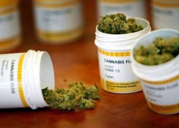 Siete startups israelíes que innovan el consumo de cannabis medicinal en el mundo