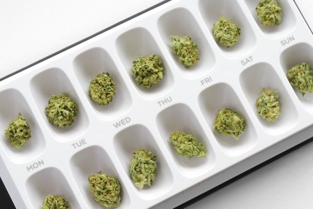 Marihuana medicinal (Foto: Shutterstock)