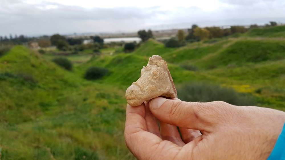 Una figura de caballo de la era helenística de 2.200 años de antigüedad descubierta cerca de Tel Akko. (Nir Distelfeld, Autoridad de Antigüedades de Israel)