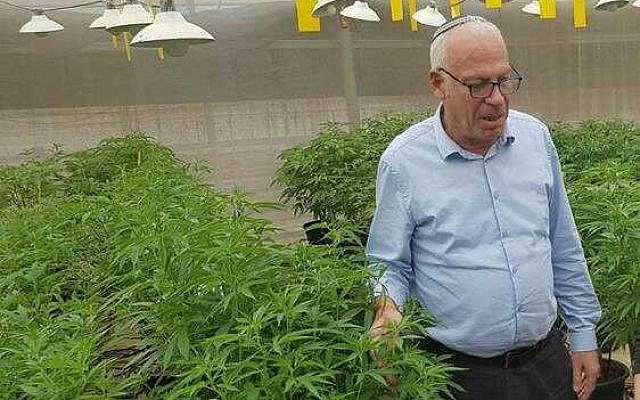 El ministro de Agricultura, Uri Ariel, recorre un invernadero que cultiva cannabis medicinal. (Cortesía)