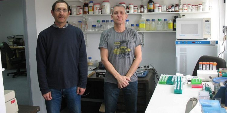 CEO y fundador de la startup Accelerated Evolution Biotechnologies Ltd. (AEBI) Ilan Morad, a la derecha, con Hanan Itzhaki, el director científico, en su laboratorio (Cortesía)