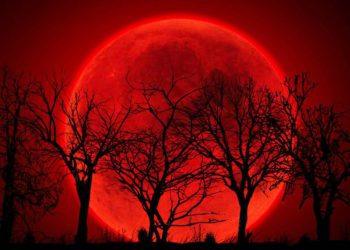 La Súper Luna de Sangre coincidirá con la festividad judía de Tu Bishvat