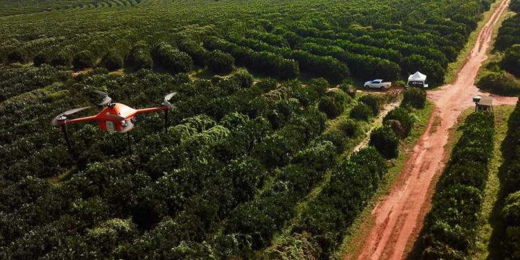 Startup israelí SeeTree apunta a un mejor rendimiento de los árboles frutales