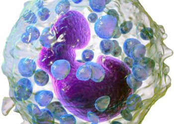 Científicos en Israel: las células desencadenantes de alergias podrían usarse para combatir el cáncer de colon
