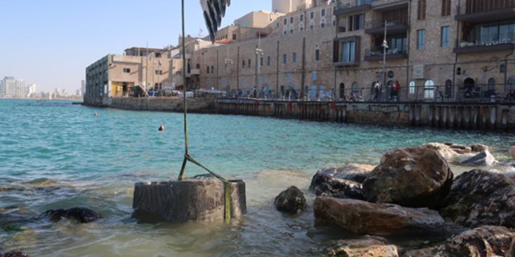 Instalación de las piscinas de marea de ECOncrete en Jaffa a principios de esta semana. De archivo: ECOncrete