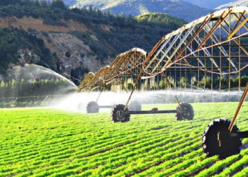 Prospera Technologies de Israel se alía con Valmont en agricultura autónoma