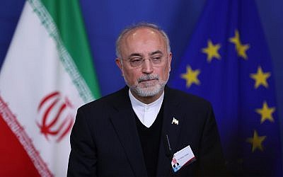 El vicepresidente y jefe de la Organización de Energía Atómica de Irán, Ali Akbar Salehi en la sede de la Comisión Europea en Bruselas, el lunes 26 de noviembre de 2018. (Foto AP / Francisco Seco)