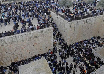 Musulmanes se reúnen antes del viernes a mediodía, en las instalaciones de la Puerta de la Misericordia en el Monte del Templo en la Ciudad Vieja de Jerusalem, el 22 de febrero de 2019. (Ahmad Gharabli / AFP)