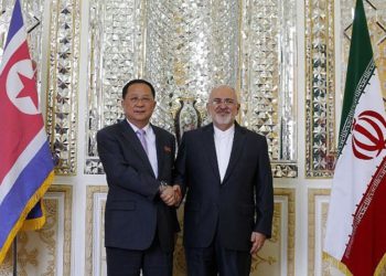 El ministro de Relaciones Exteriores de Irán, Mohammad Javad Zarif (R), da la mano a su homólogo norcoreano, Ri Yong Ho, durante su reunión en la capital, Teherán, el 7 de agosto de 2018. (AFP Photo / Atta Kenare)