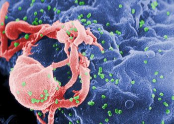 Segundo hombre parece estar libre de virus del SIDA después del trasplante