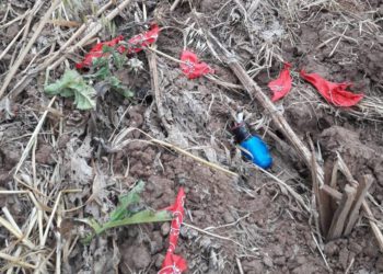 Después de la violencia islamista nocturna en la frontera de la noche, se encontraron explosivos cerca de Gaza