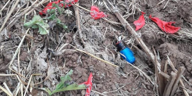 Después de la violencia islamista nocturna en la frontera de la noche, se encontraron explosivos cerca de Gaza