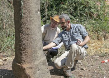 Investigadores de la Universidad de Haifa inspeccionan el hito romano en Moshav Ramot que lleva el nombre de Emperor Maximinus Thrax. (Susita Excavación / Universidad Haifa)