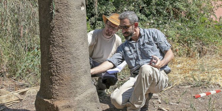 Investigadores de la Universidad de Haifa inspeccionan el hito romano en Moshav Ramot que lleva el nombre de Emperor Maximinus Thrax. (Susita Excavación / Universidad Haifa)