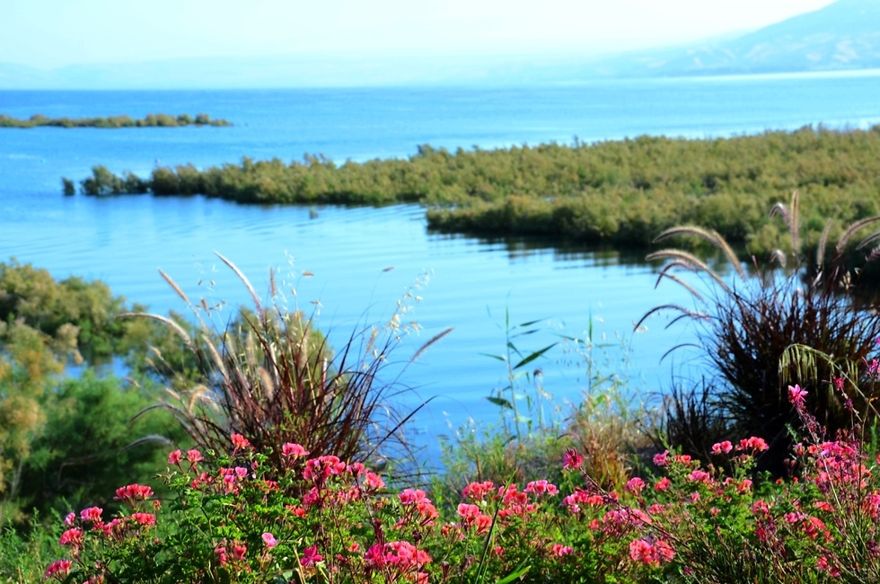 Ruta que conduce al mar de Galilea (Foto: Oficiales del Mar de Galilea)