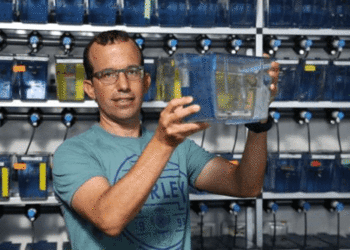 Universidad Bar-Ilan: Descubren que el sueño ayuda a reparar el ADN dañado de las neuronas