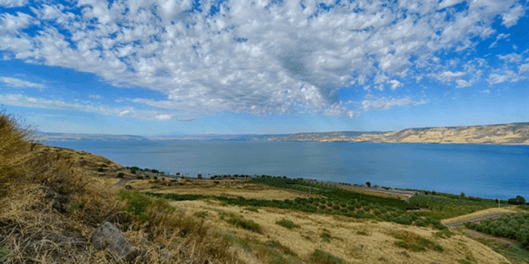 Kinneret se eleva 6.5 cm