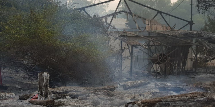 Daños causados ​​por incendios que se registraron en todo Israel, 23 de mayo. (Crédito de la foto: SERVICIO DE INCENDIO Y RESCATE)