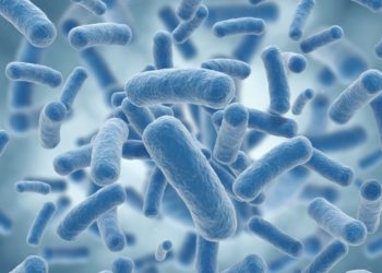 Expertos israelíes abordan el problema de las bacterias resistentes a los antibióticos