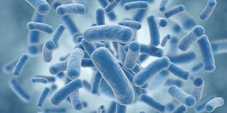 Expertos israelíes abordan el problema de las bacterias resistentes a los antibióticos
