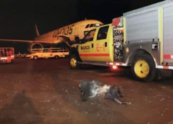 Esta fotografía publicada por la agencia estatal de prensa saudita muestra escombros en la pista del aeropuerto regional de Abha después de un ataque de los rebeldes hutíes de Yemen en Abha, Arabia Saudita, el miércoles 12 de junio de 2019. (Agencia de prensa saudí a través de AP)