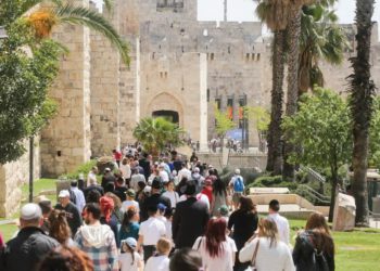 Cientos de turistas caminan hacia la puerta de Jaffa en Jerusalén. (Crédito de la foto: MARC ISRAEL SELLEM)