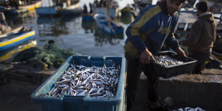 Israel reduce zona de pesca de Gaza por ataques con cohetes