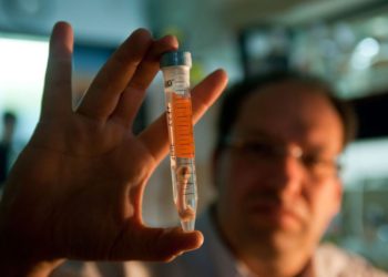 El presidente y presidente de Bonus BioGroup, el Dr. Shai Meretzki, tiene un hueso de laboratorio. (Crédito de la foto: BIOGROUP BONUS)
