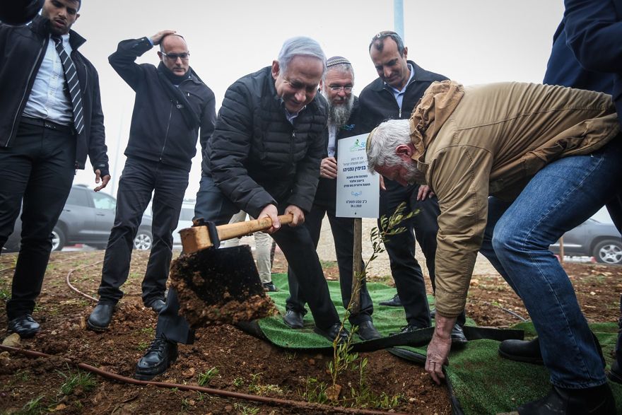 El primer ministro Benjamin Netanyahu planta un olivo en el barrio de Netiv Ha'avot en el poblado de Elazar en Judea y Samaria, el 28 de enero de 2019. (Marc Israel Sellem / Pool)