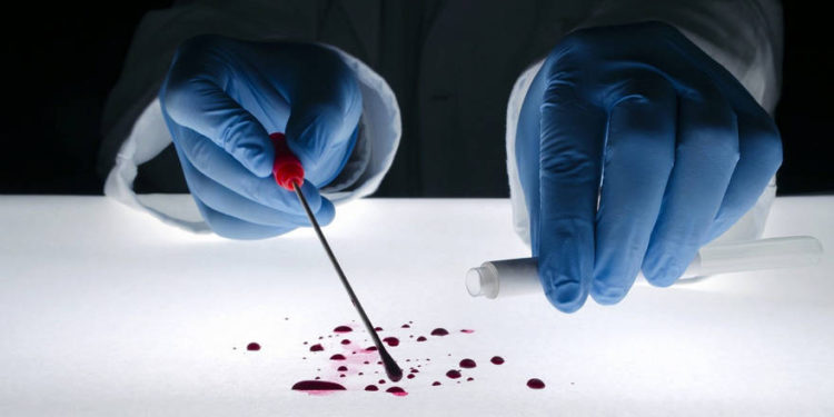 Imagen ilustrativa de evidencia forense reunida en la escena del crimen (natasaadzic; iStock by Getty Images)