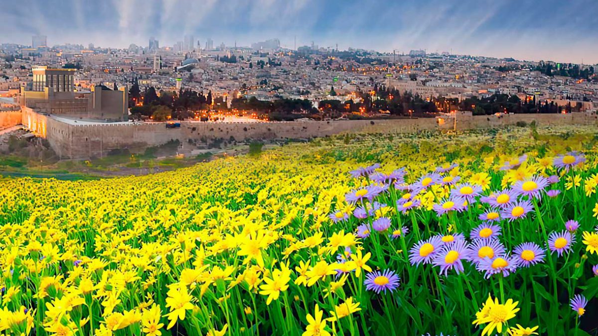 El cambio ecológico que producirá el tercer Templo en Jerusalén