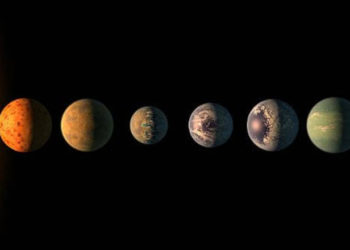 El concepto de este artista muestra el aspecto de cada uno de los planetas TRAPPIST-1, según los datos disponibles sobre sus tamaños, masas y distancias orbitales. (Cortesía de NASA / JPL-Caltech)