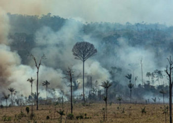 El humo se eleva de los incendios forestales en Altamira, estado de Pará, Brasil, en la cuenca del Amazonas, el 27 de agosto de 2019. (Joao Laet / AFP)