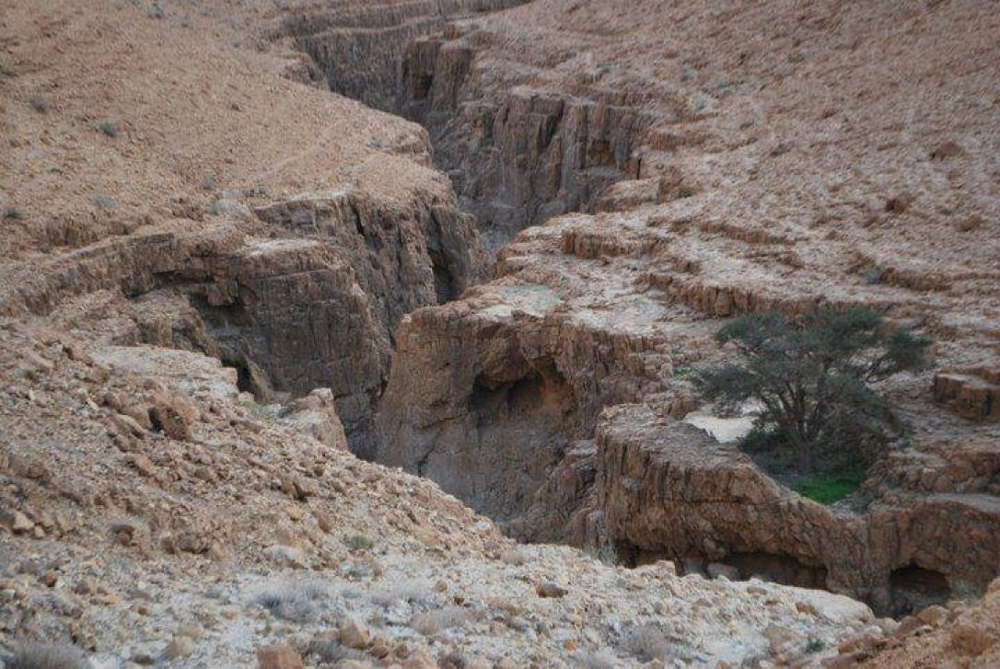 Nahal Mishmar
