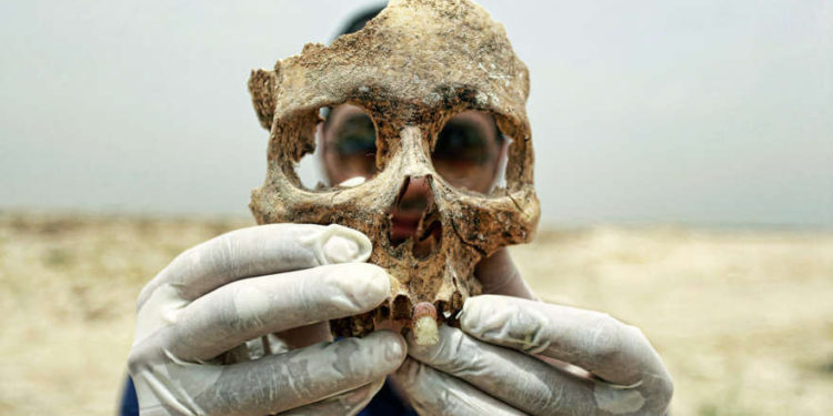 Científicos revelan que cadáveres humanos se mueven durante más de un año después de la muerte