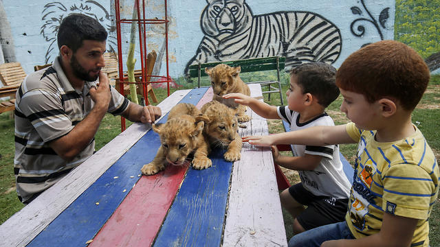 Niños palestinos y un empleado acarician a tres cachorros recién nacidos en un zoológico en Rafah, en el sur de la Franja de Gaza, el 8 de septiembre de 2019